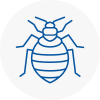 Bed Bug Extermination In Partington